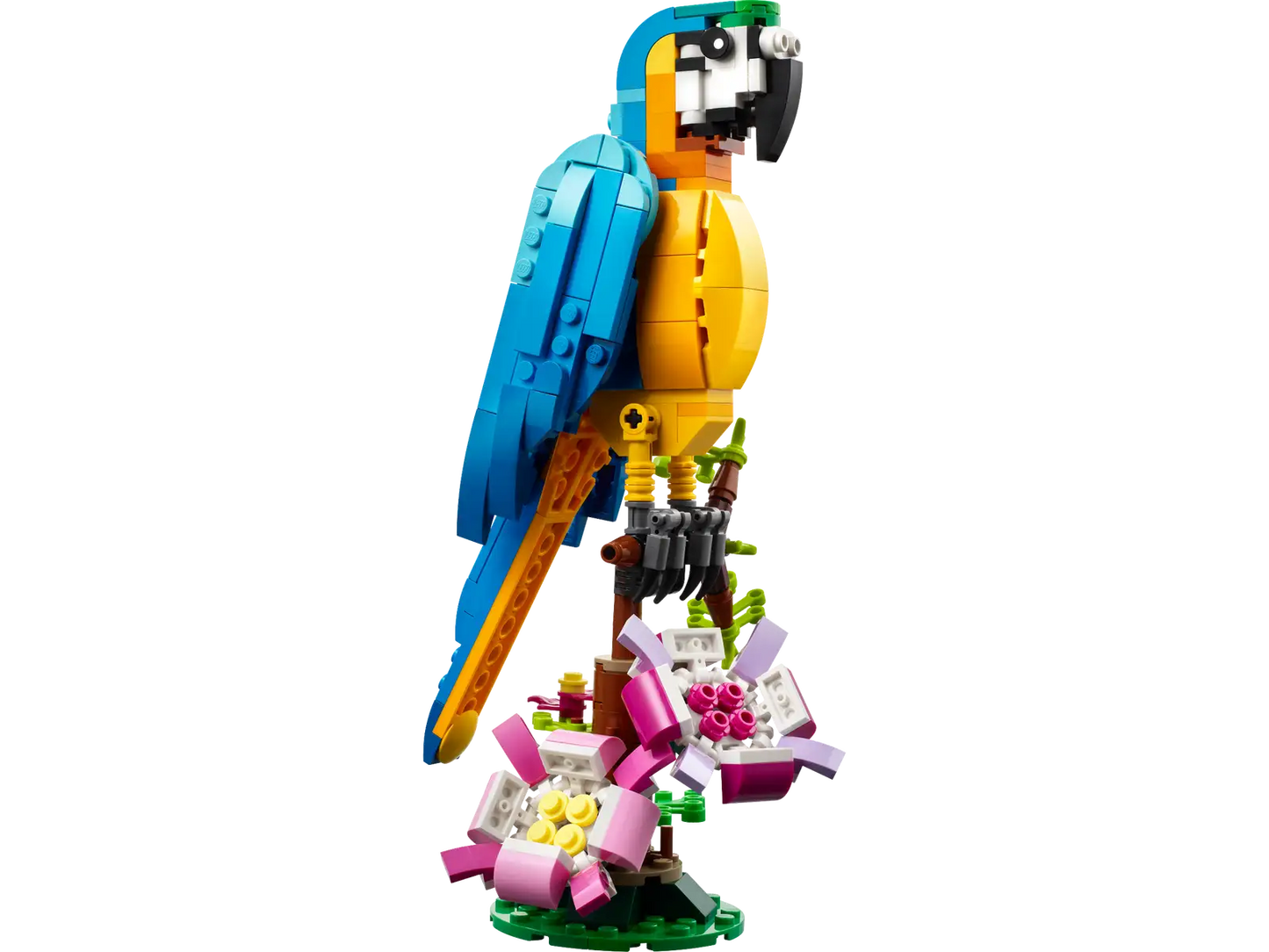 LEGO Creator Exotic Parrot 3-in-1 31136