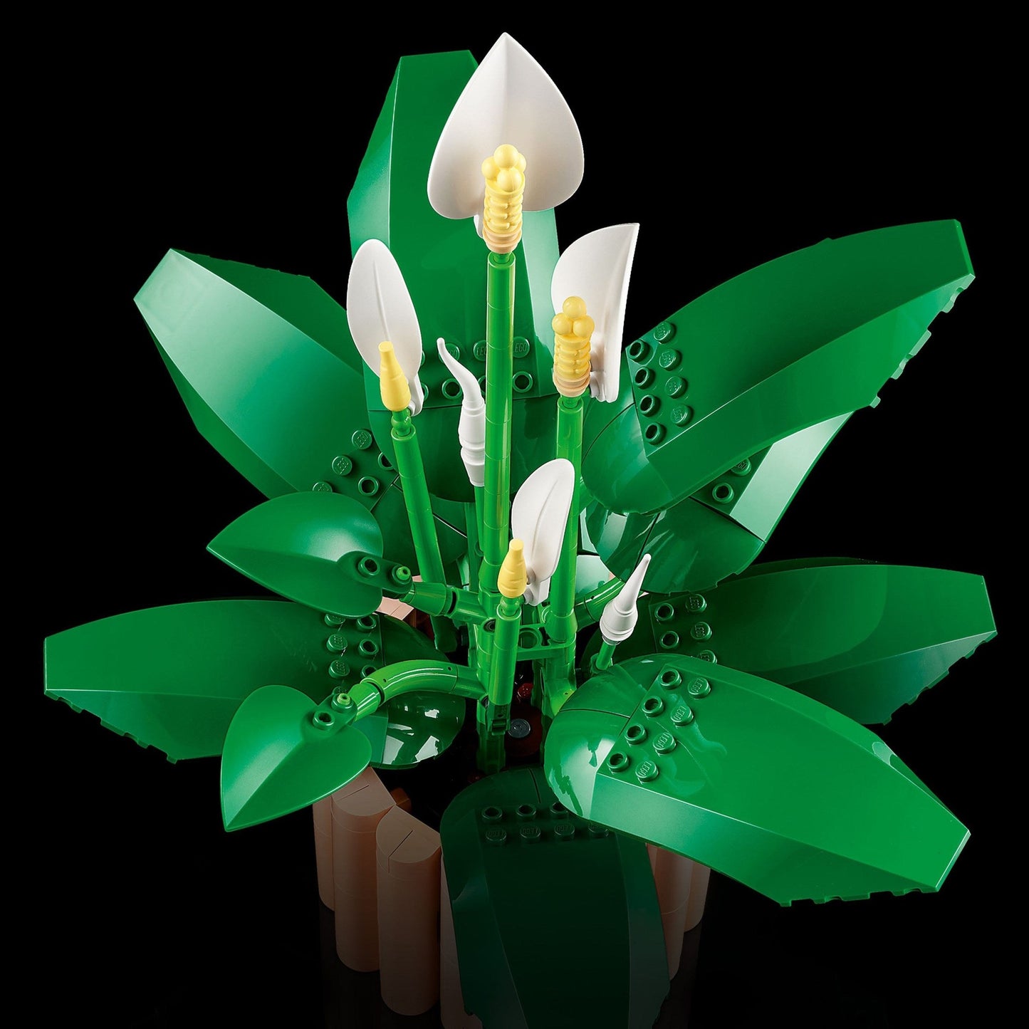 LEGO Botanicals Peace Lily 11504