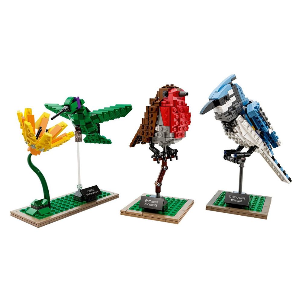 LEGO Ideas Birds 21301