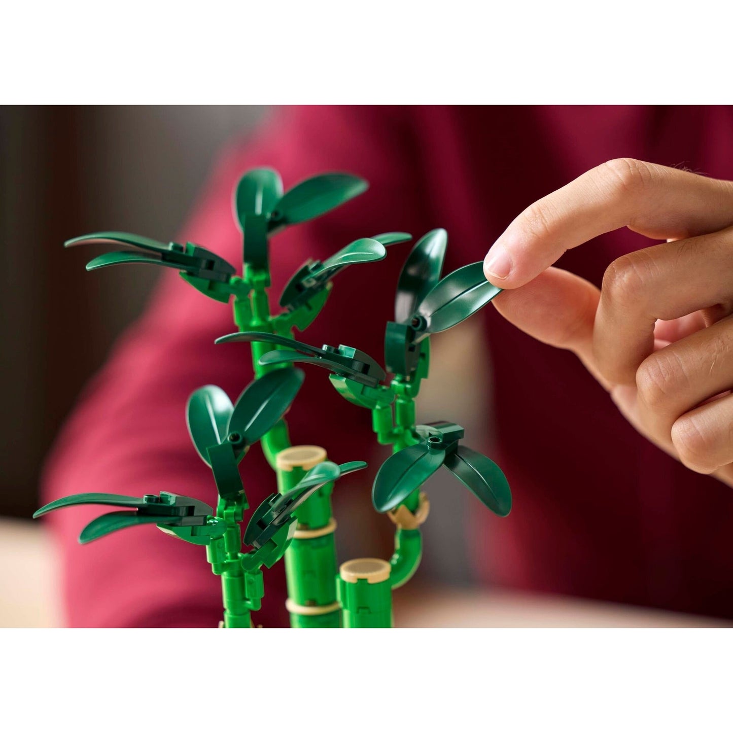 LEGO Botanicals Lucky Bamboo 10344