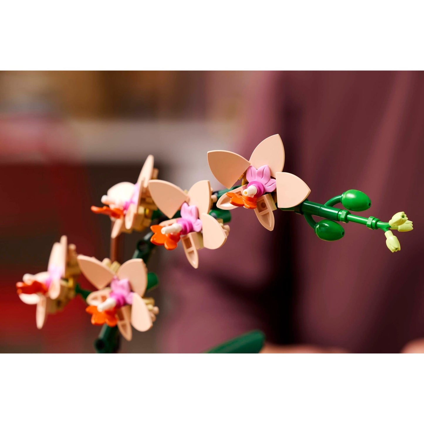 LEGO Botanicals Mini Orchid 10343