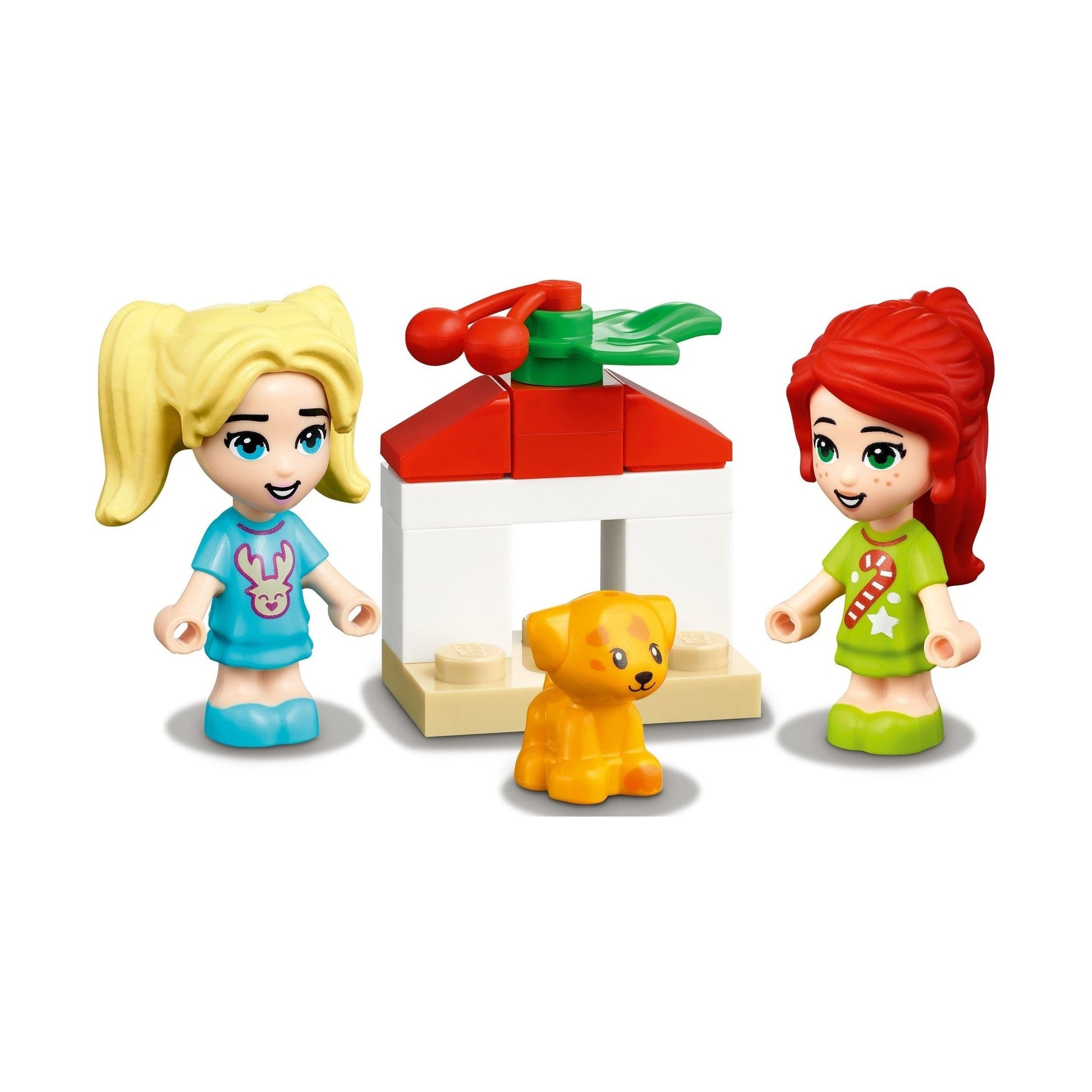 LEGO Friends LEGO Friends Advent Calendar 41690