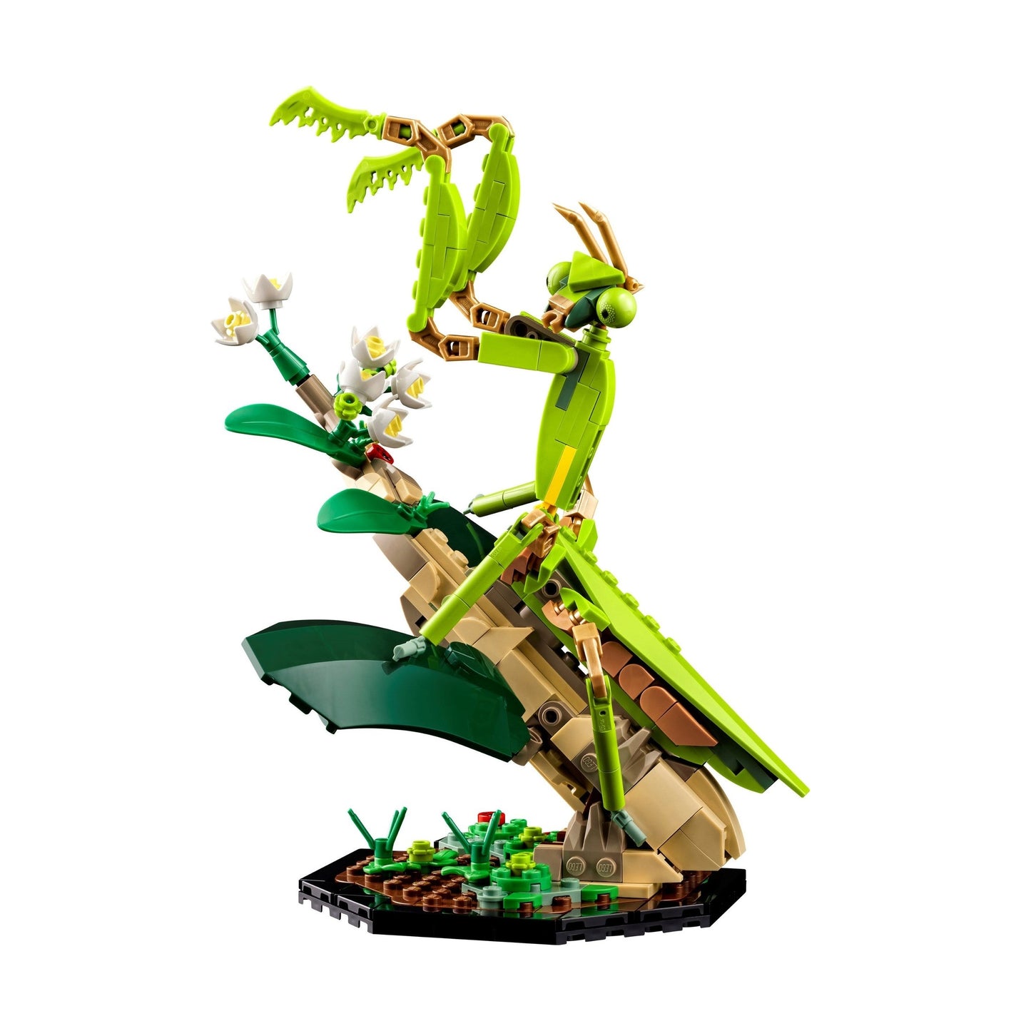 LEGO Ideas The Insect Collection 21342
