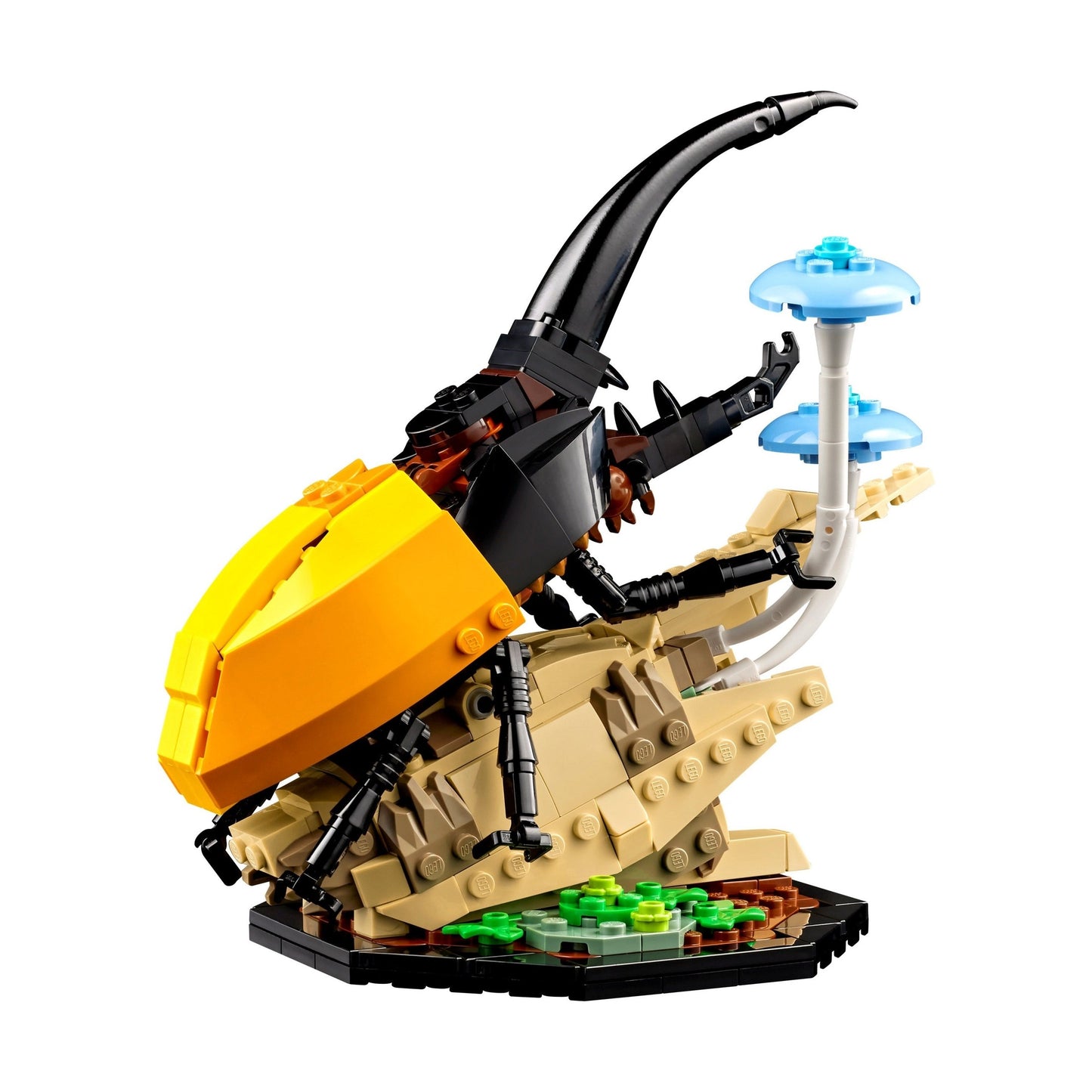 LEGO Ideas The Insect Collection 21342