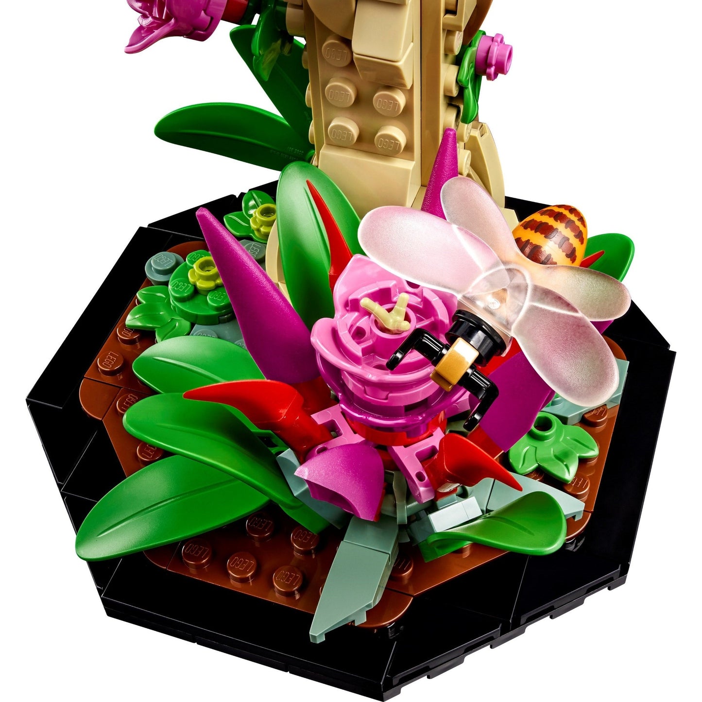 LEGO Ideas The Insect Collection 21342