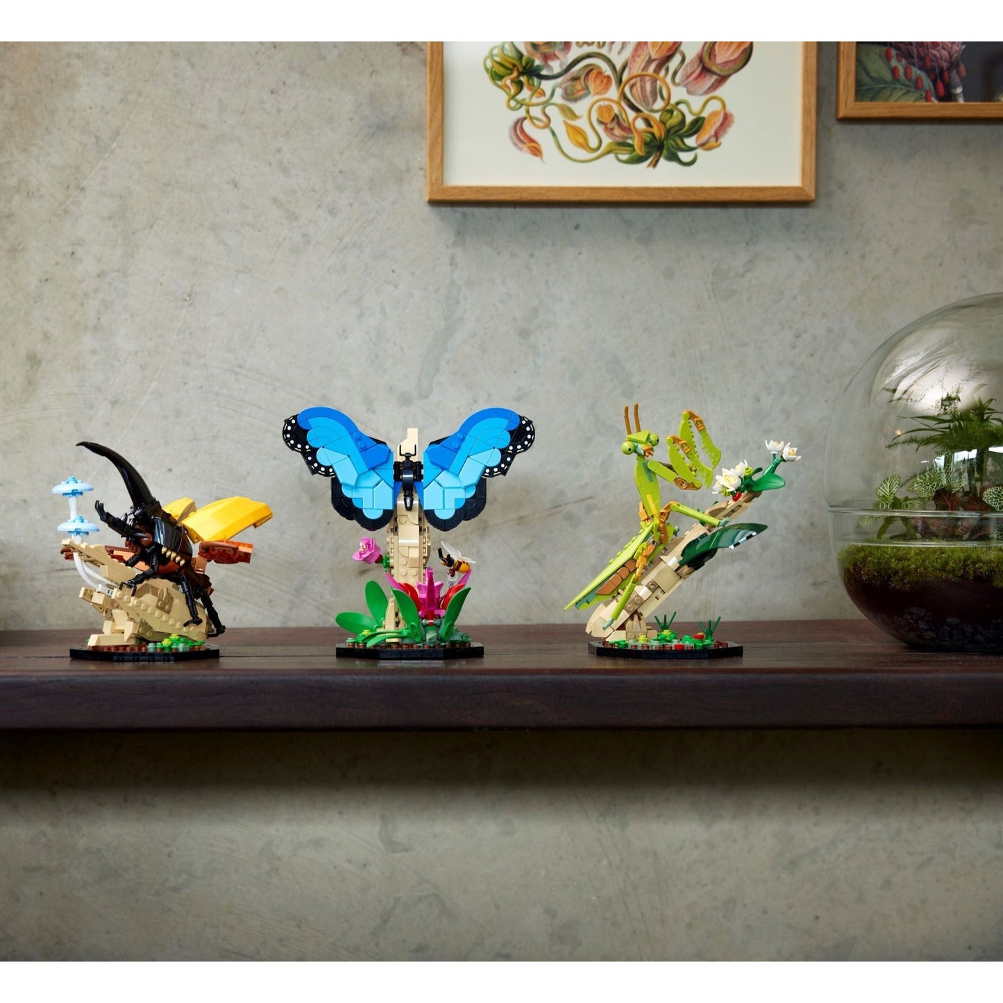 LEGO Ideas The Insect Collection 21342