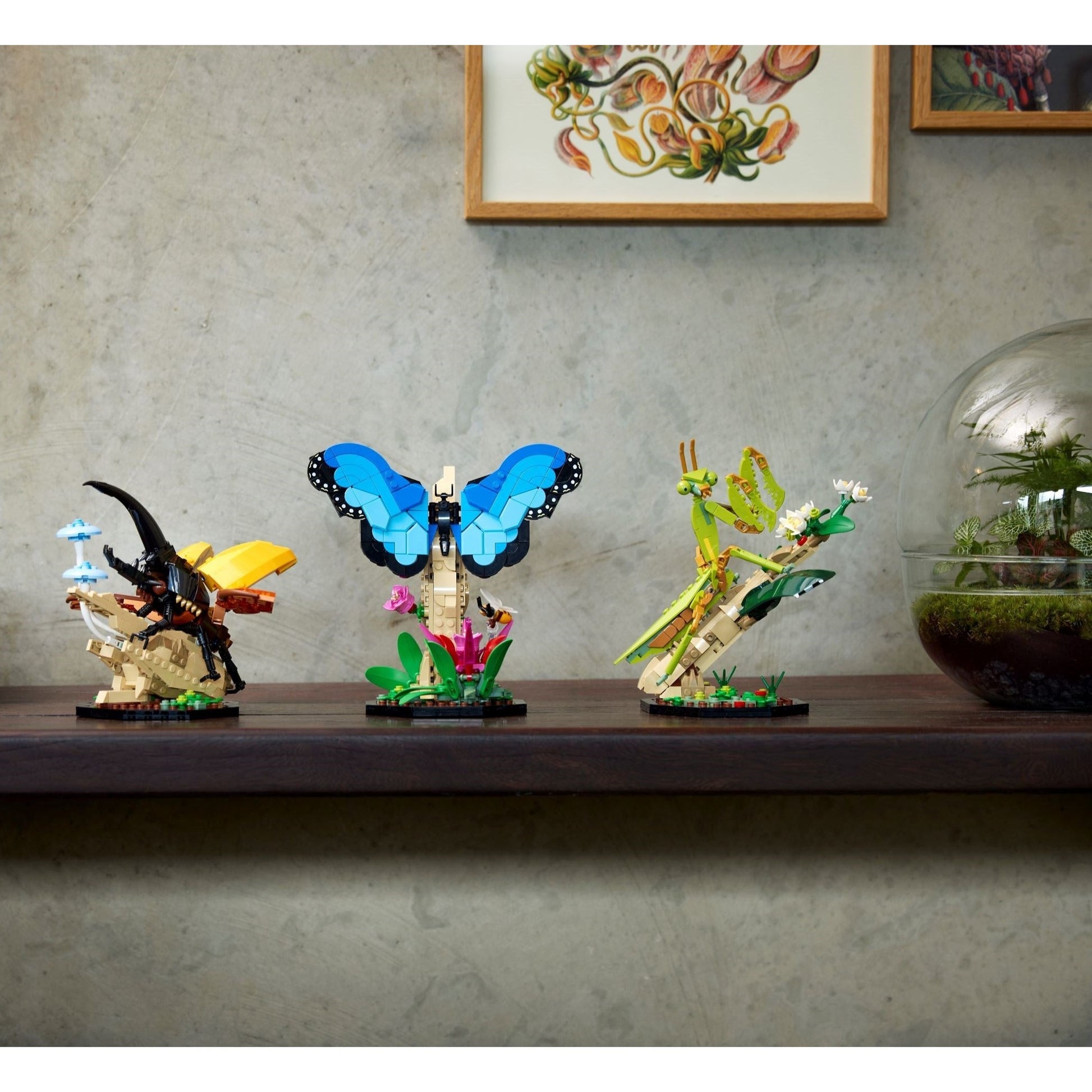 LEGO Ideas The Insect Collection 21342
