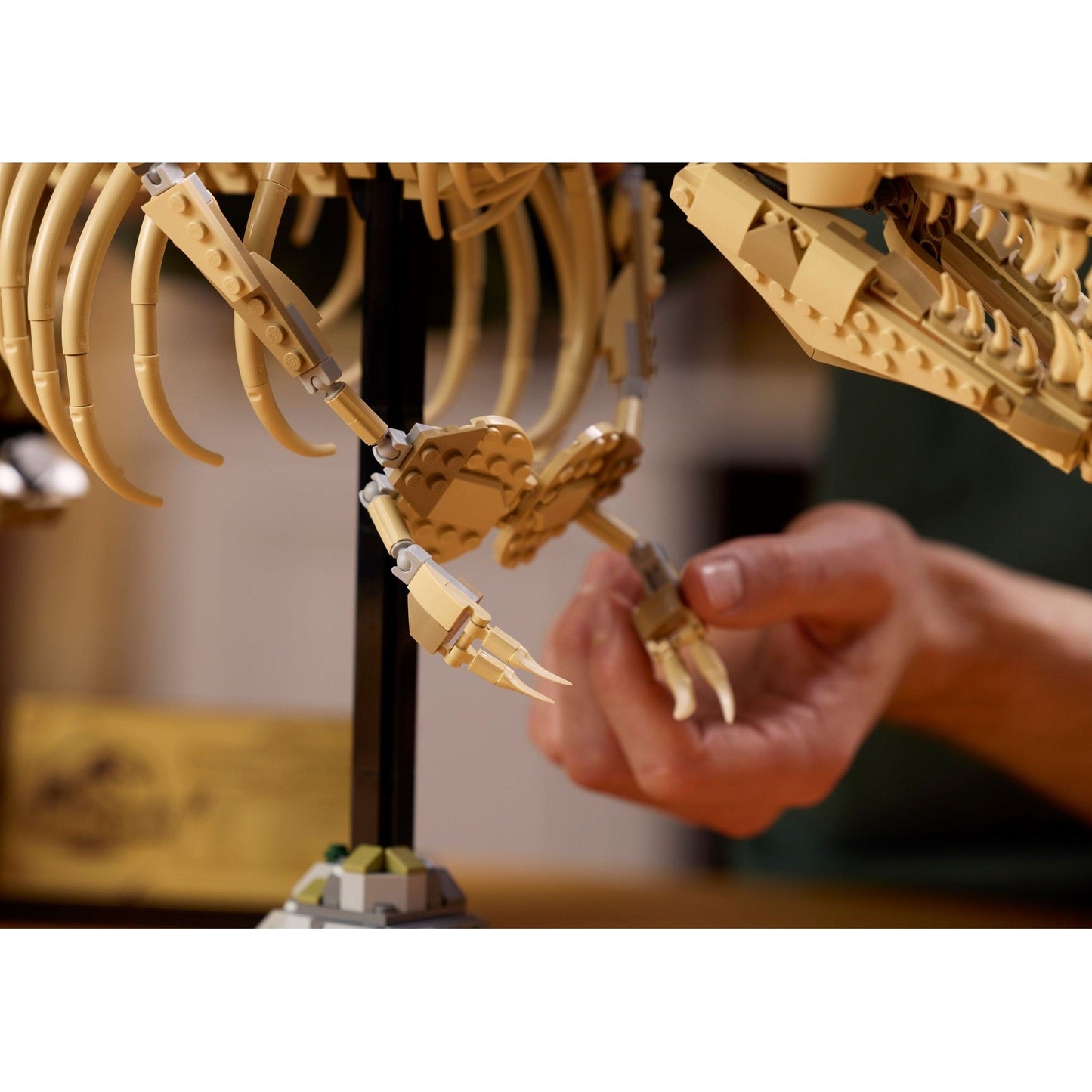 LEGO Jurassic World Dinosaur Fossils: Tyrannosaurus rex 76968