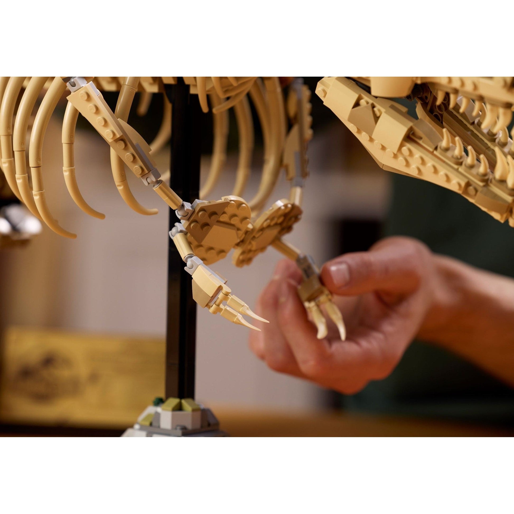 LEGO Jurassic World Dinosaur Fossils: Tyrannosaurus rex 76968