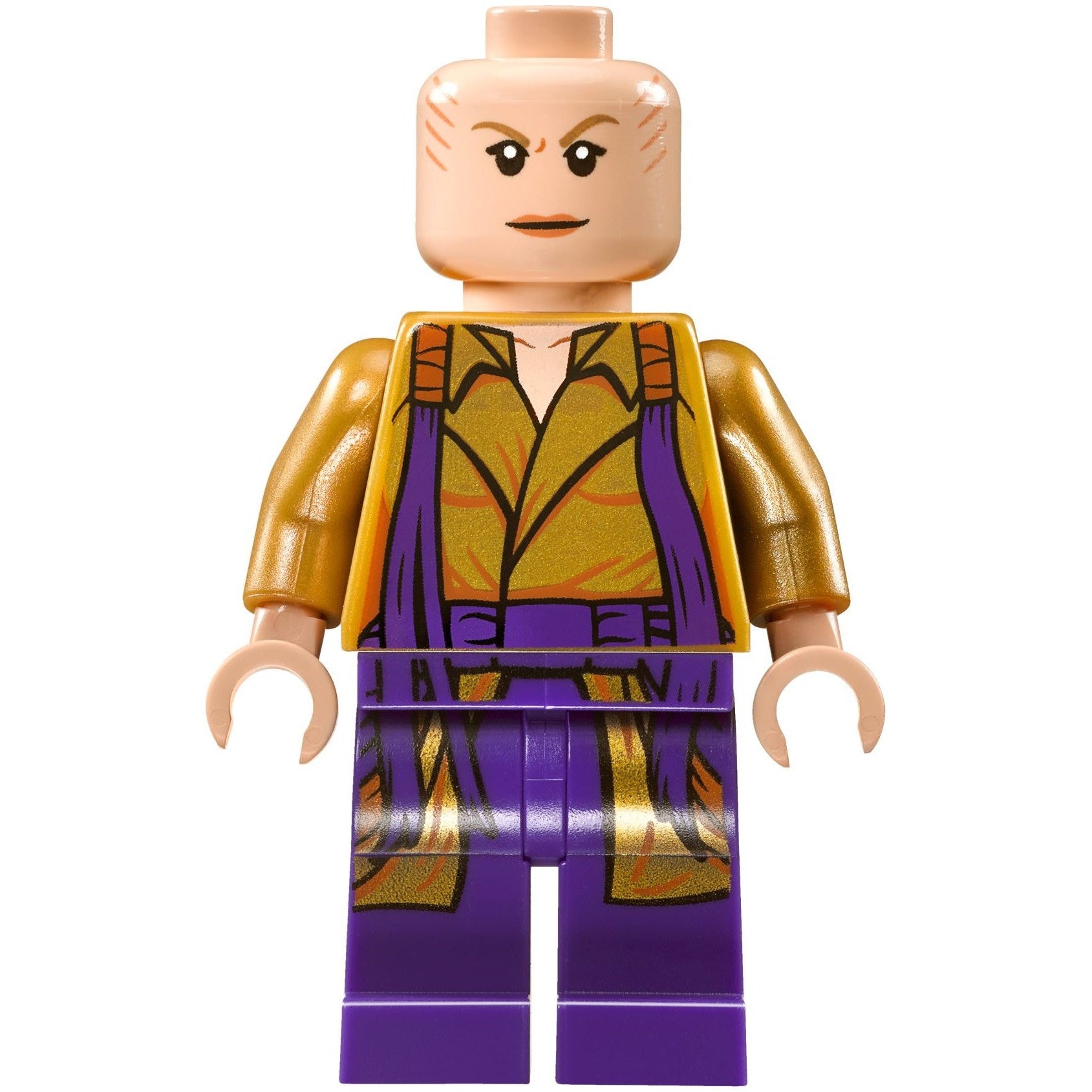 LEGO Marvel Super Heroes Doctor Strange's Sanctum Sanctorum 76060